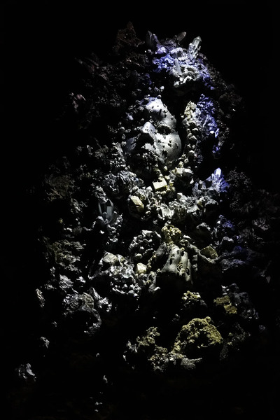 250227 Morena Bamberger_Through Matter of Time, foto Tobias Heemels